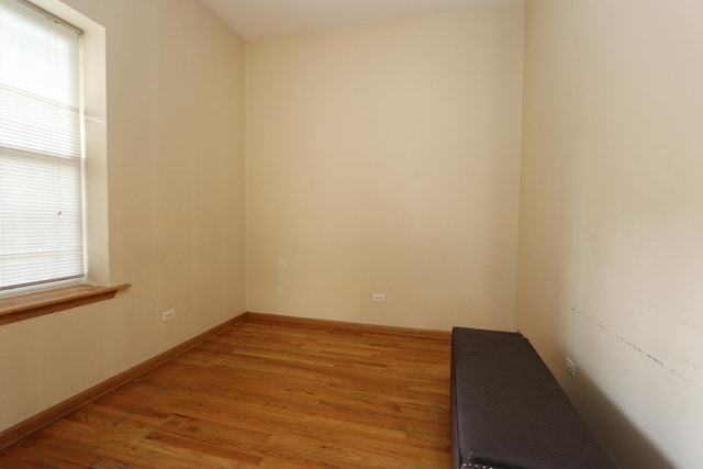 unfurnished room featuring light wood-type flooring and a wealth of natural light