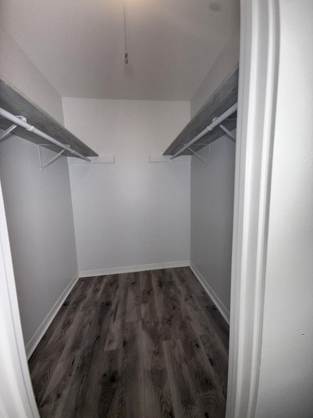 walk in closet with dark hardwood / wood-style floors