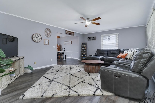 living room featuring ceiling fan, ornamental molding, and dark wood-type flooring