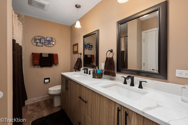 bathroom featuring vanity, wood-type flooring, and toilet