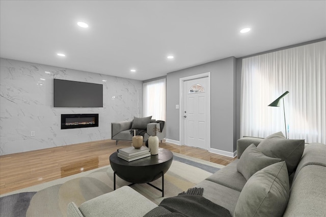 living room featuring light wood-type flooring and a premium fireplace