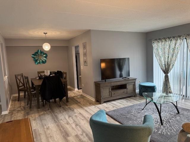 living room with light wood-type flooring