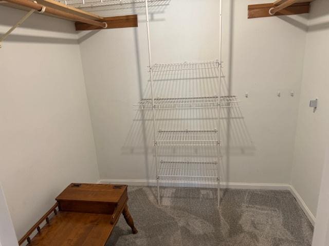 spacious closet with carpet floors