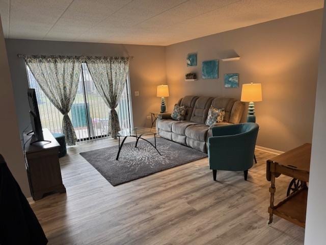 living room with wood-type flooring