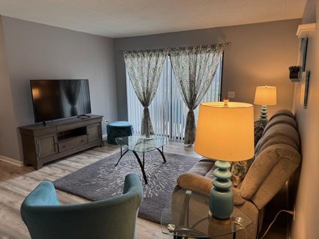 living room featuring light hardwood / wood-style floors