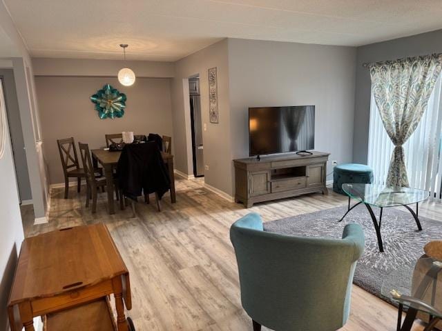 living room with light hardwood / wood-style flooring