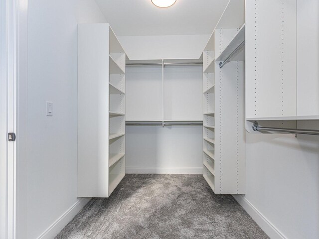 walk in closet with dark colored carpet