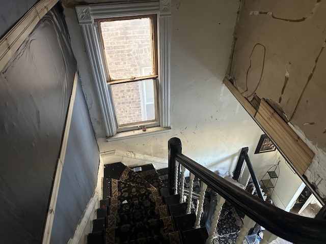 staircase with a wealth of natural light