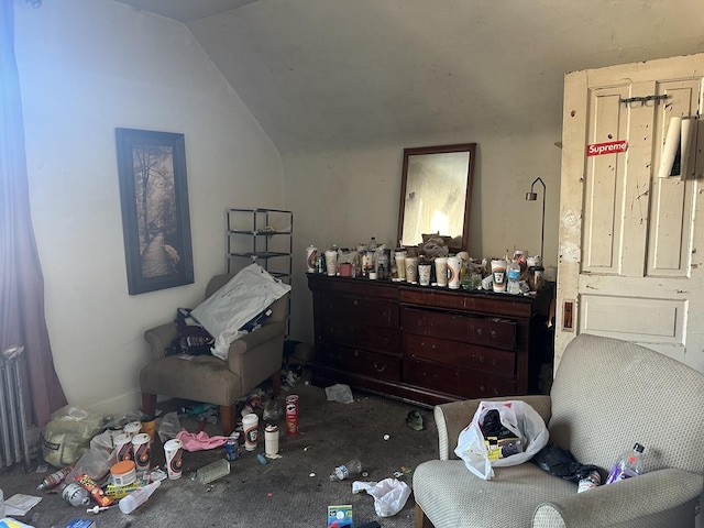 bedroom featuring vaulted ceiling