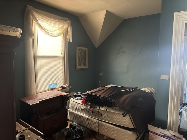 bedroom featuring vaulted ceiling