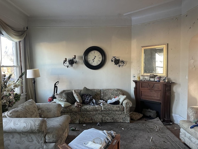 living room featuring crown molding