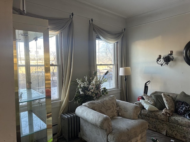 living area with a wealth of natural light and radiator heating unit