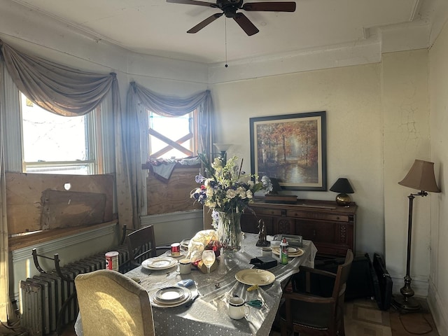 dining area featuring ceiling fan and radiator