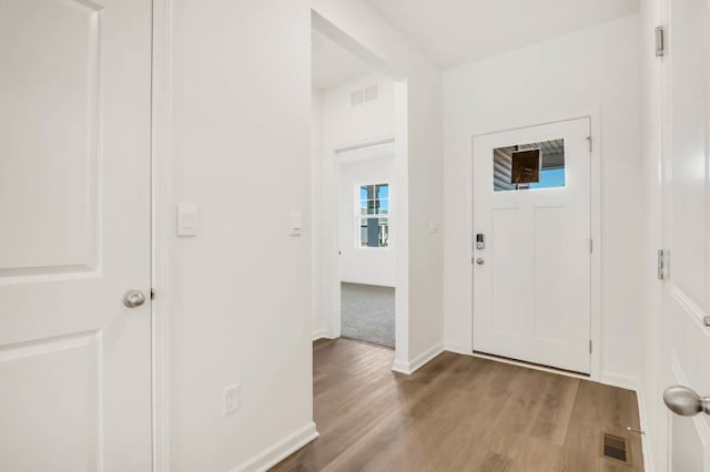 foyer entrance featuring wood-type flooring