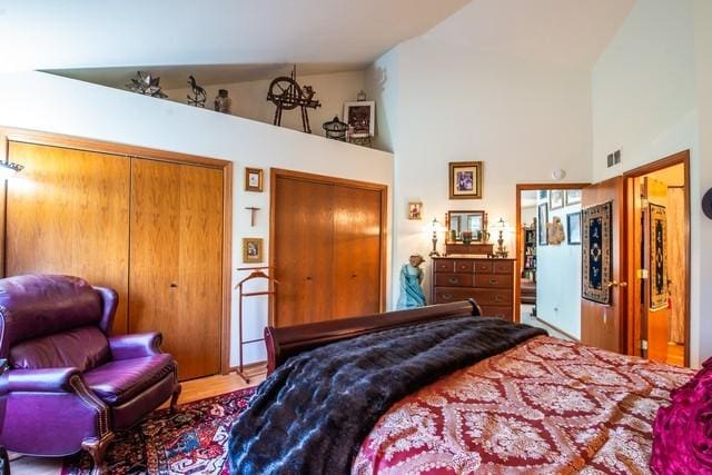 bedroom with hardwood / wood-style floors, two closets, and high vaulted ceiling