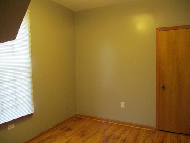 spare room with hardwood / wood-style floors