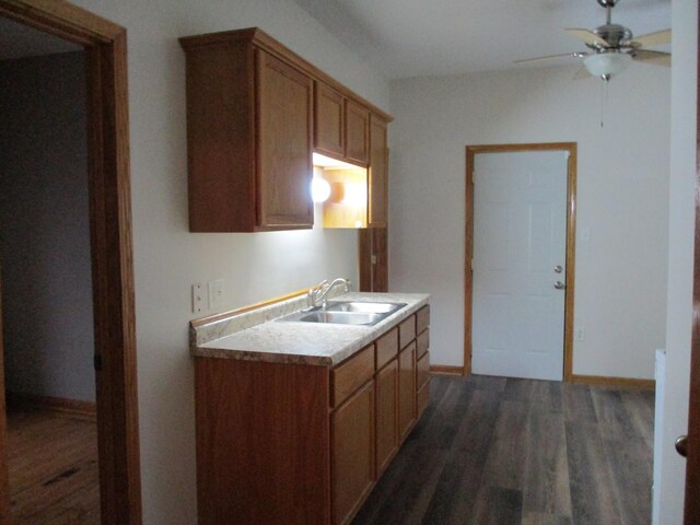 kitchen featuring dark hardwood / wood-style flooring, ceiling fan, and sink