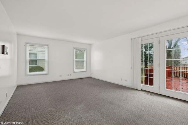 spare room with plenty of natural light and carpet