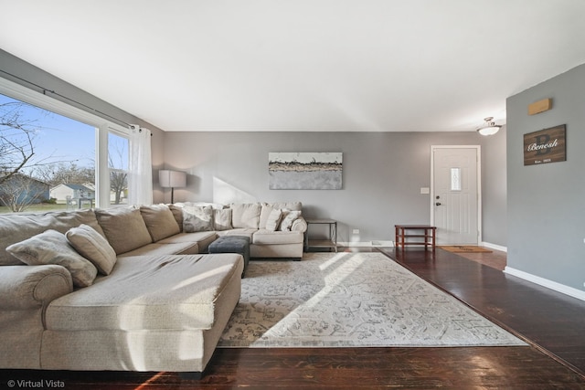 living room with hardwood / wood-style flooring