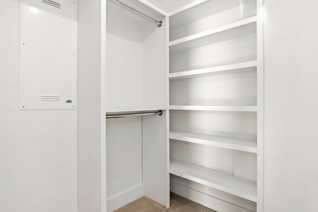 spacious closet featuring carpet floors