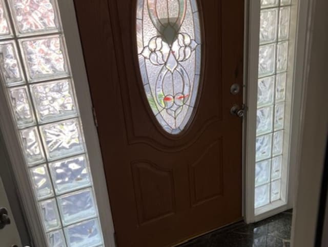 entrance foyer featuring a wealth of natural light