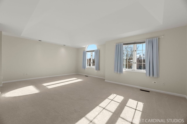 spare room featuring a raised ceiling and light colored carpet