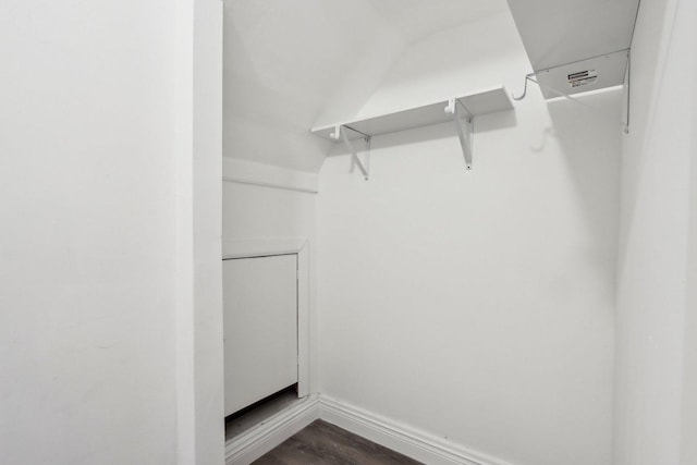 walk in closet with dark wood-type flooring