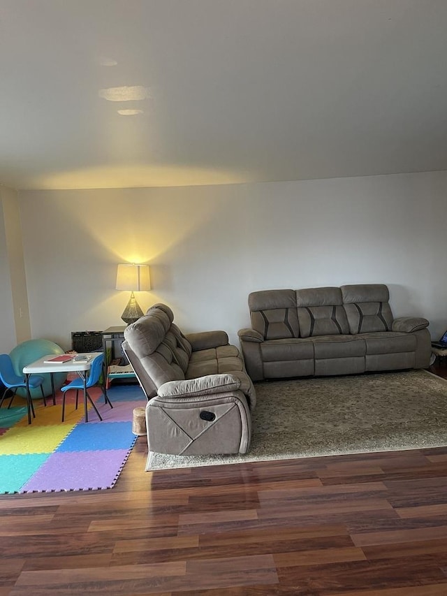 living room featuring dark wood-type flooring