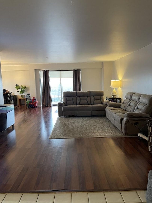 living room with wood-type flooring