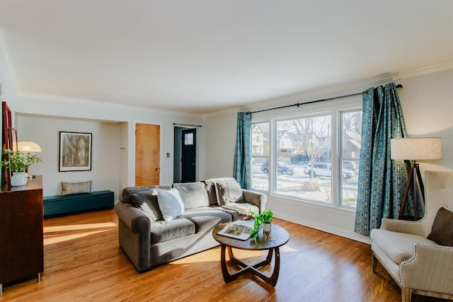 living room featuring light hardwood / wood-style floors and crown molding