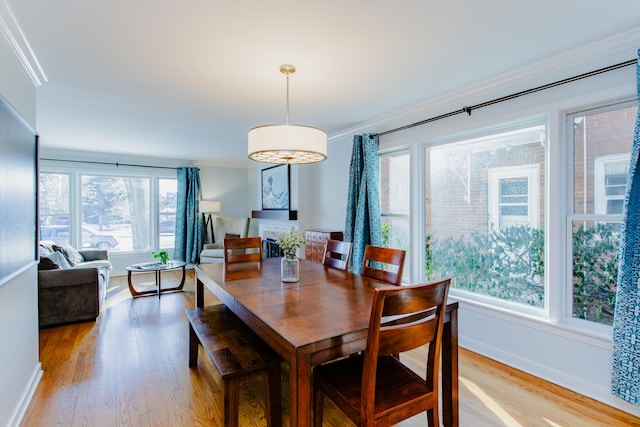 dining space with ornamental molding, a healthy amount of sunlight, and light wood-type flooring