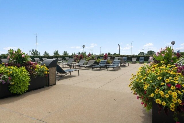 155 N Harbor Dr Unit 1111, Chicago, IL 60601 - photo 21