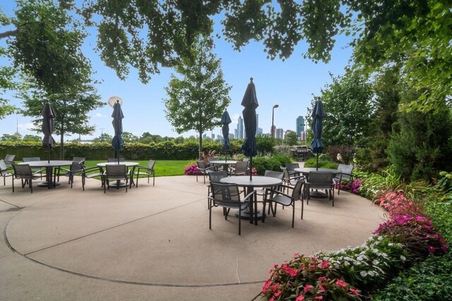 155 N Harbor Dr Unit 1111, Chicago, IL 60601 - photo 24