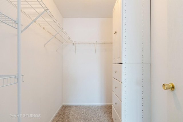 walk in closet with carpet