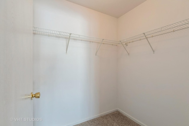 spacious closet with carpet flooring