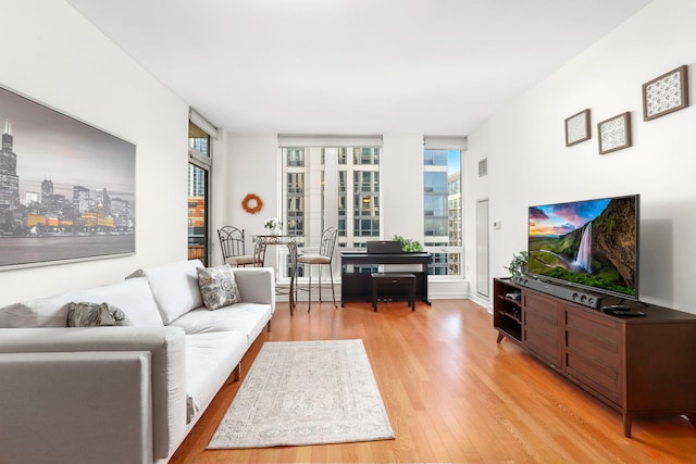 living room featuring light hardwood / wood-style flooring