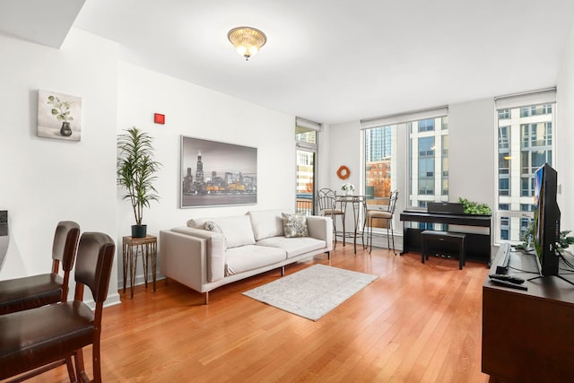 living room with wood-type flooring and a baseboard heating unit