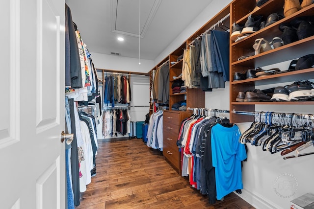 spacious closet featuring visible vents, dark wood-style flooring, and attic access