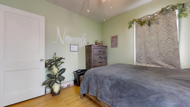 bedroom featuring wood-type flooring