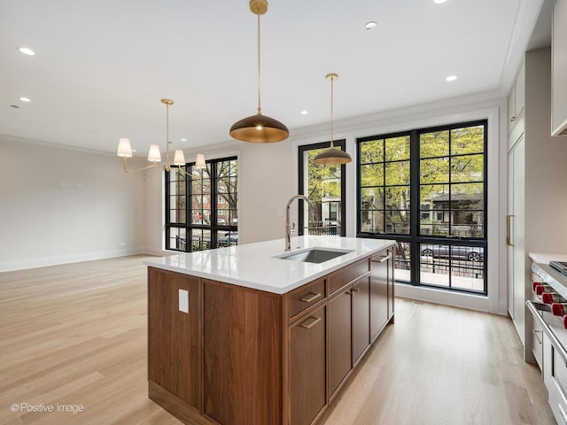 1208 W Wellington St Unit 1F, Chicago, IL 60657 - kitchen with light wood-style floors, a sink, a healthy amount of sunlight, and a center island with sink