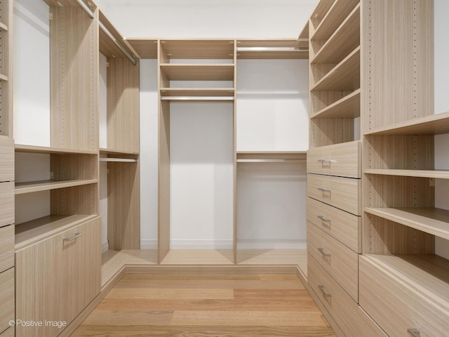 1208 W Wellington St Unit 1F, Chicago, IL 60657 - walk in closet with light wood-type flooring