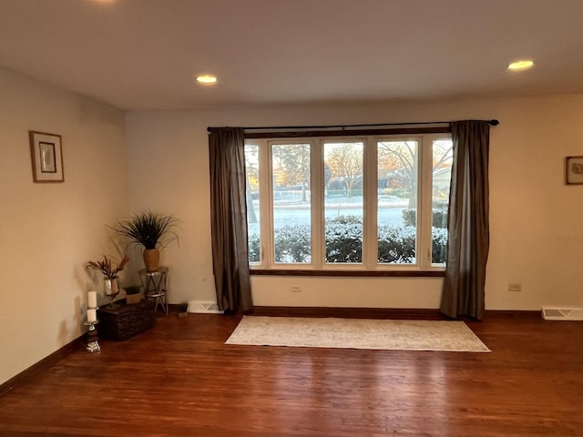 entryway featuring dark wood-type flooring