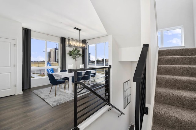 dining room with dark hardwood / wood-style floors and a notable chandelier