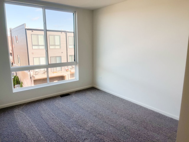 unfurnished room with carpet floors and plenty of natural light