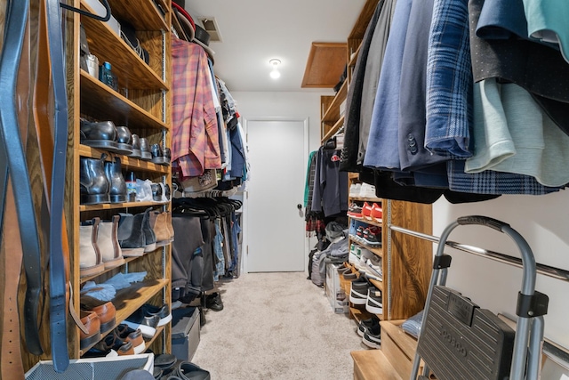 spacious closet with carpet floors