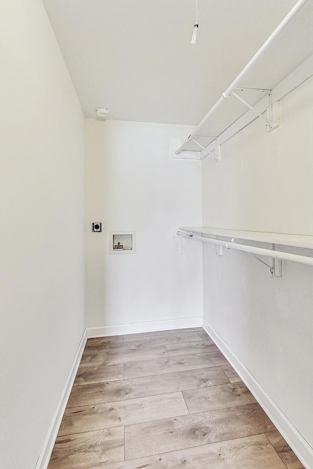 spacious closet featuring light wood-type flooring