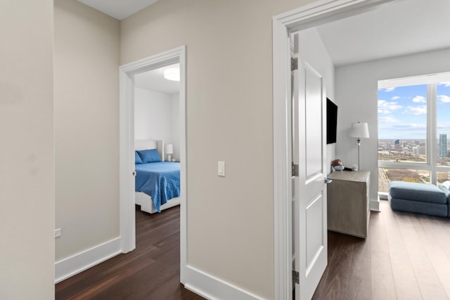 hall with dark hardwood / wood-style floors