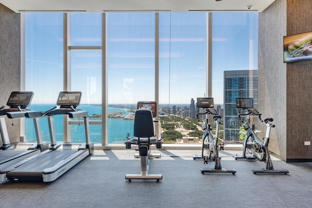 gym featuring plenty of natural light, a water view, a wall of windows, and carpet floors