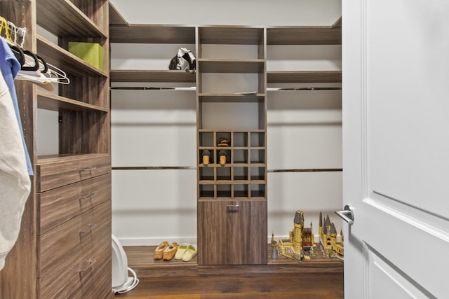 walk in closet with hardwood / wood-style floors