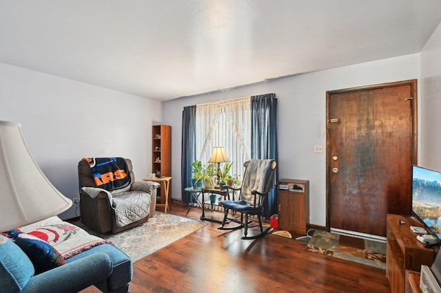 sitting room featuring wood-type flooring